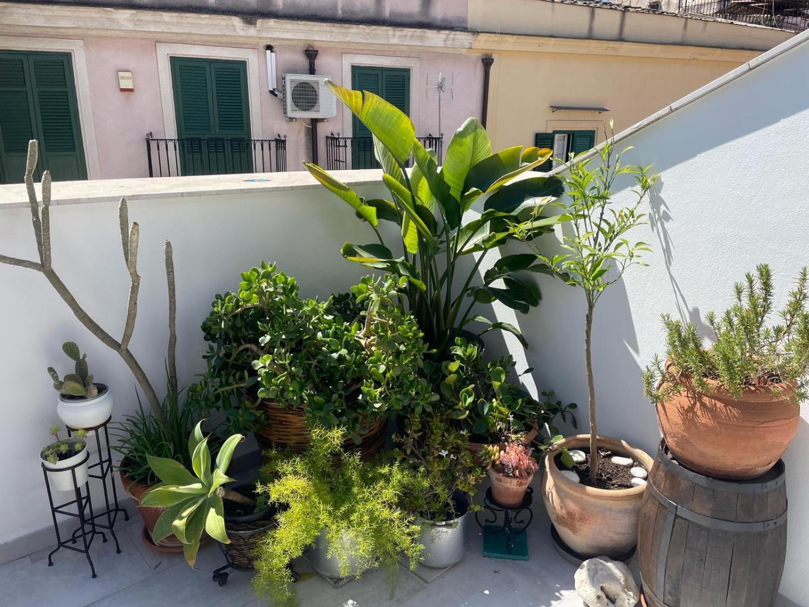 Terrazza Alla Cala Palermo Exterior photo